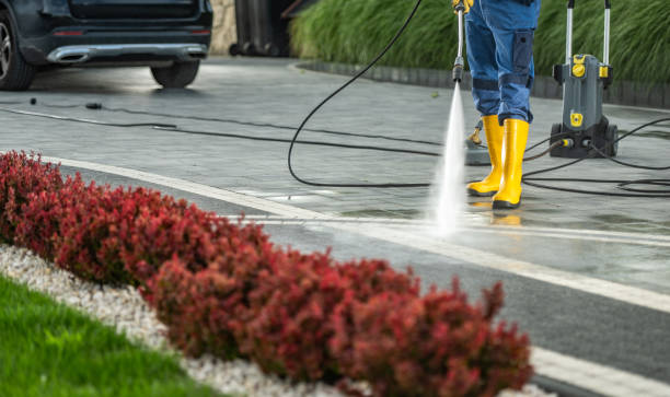 Best Fence Cleaning  in Fowlkes, TN